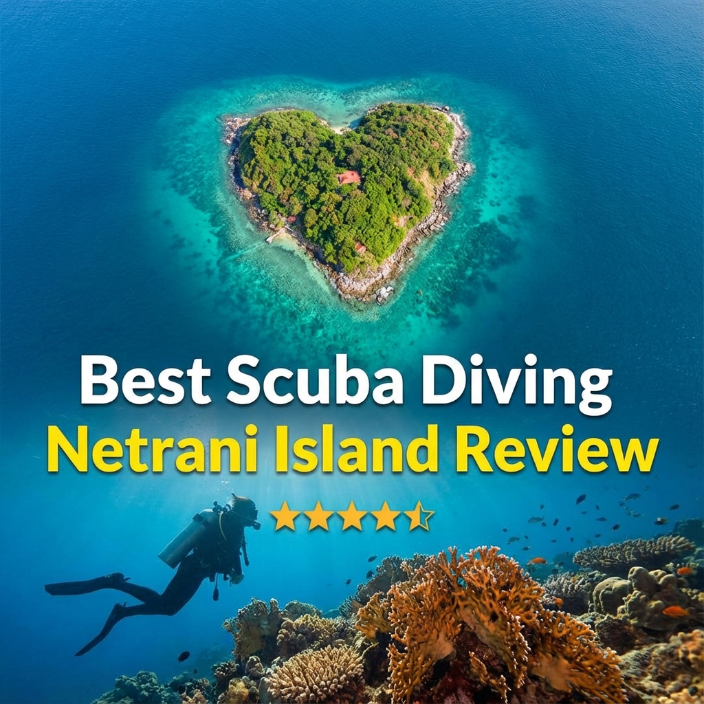 Best Scuba Diving in Netrani Island – Season & Operator Guide (2026)